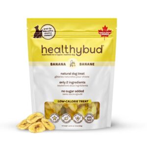 HealthyBud banane déshydratée 5.3 OZ